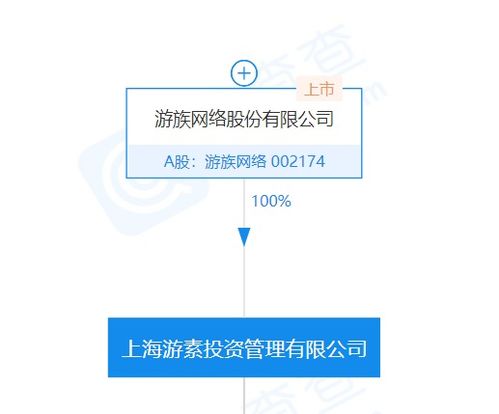 游族關聯公司全資入股桑喆網絡 計算機系統集成服務迎來新布局